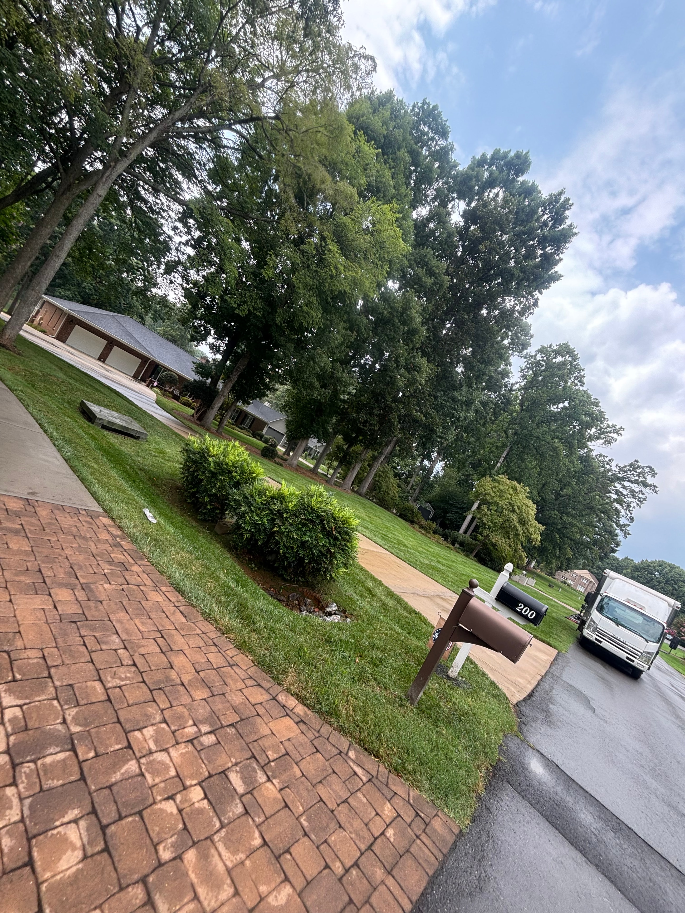 Lawn Mowing & Edging